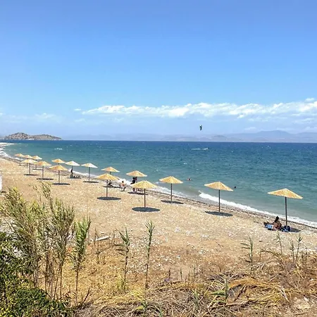 Apartament Stunning In Astros Kynourias *