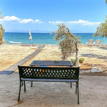 Stunning In Astros Kynourias