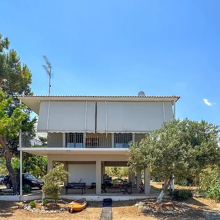 Stunning In Astros Kynourias *