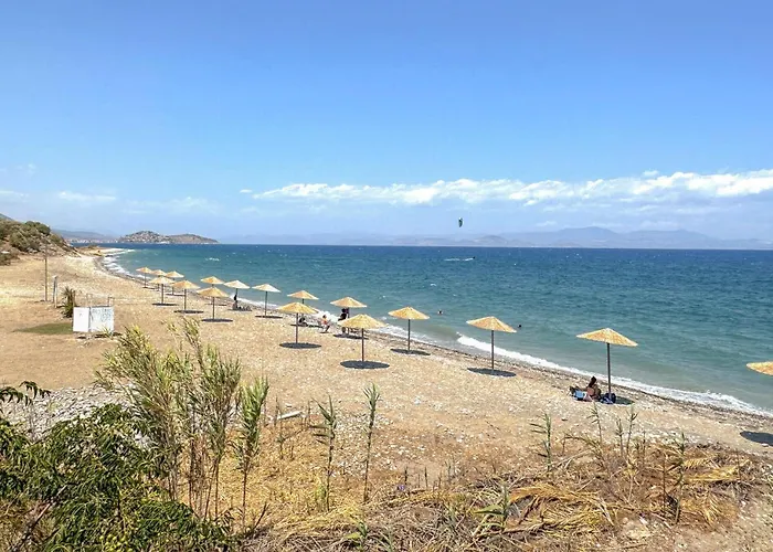 Apartment Stunning In Astros Kynourias *