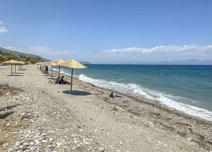 Stunning In Astros Kynourias Agios Andreas (Arcadia)